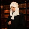 Fancy Dress Baroque Judges Wig Curly Hairpiece Judge'S Hat Prop Dress Up Nobles Cosplay Wig  Unisex