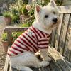Polar Fleece Two Legs Dog Clothes Thick Warm Puppy Coat Elastic Pet Overalls  Daily Use