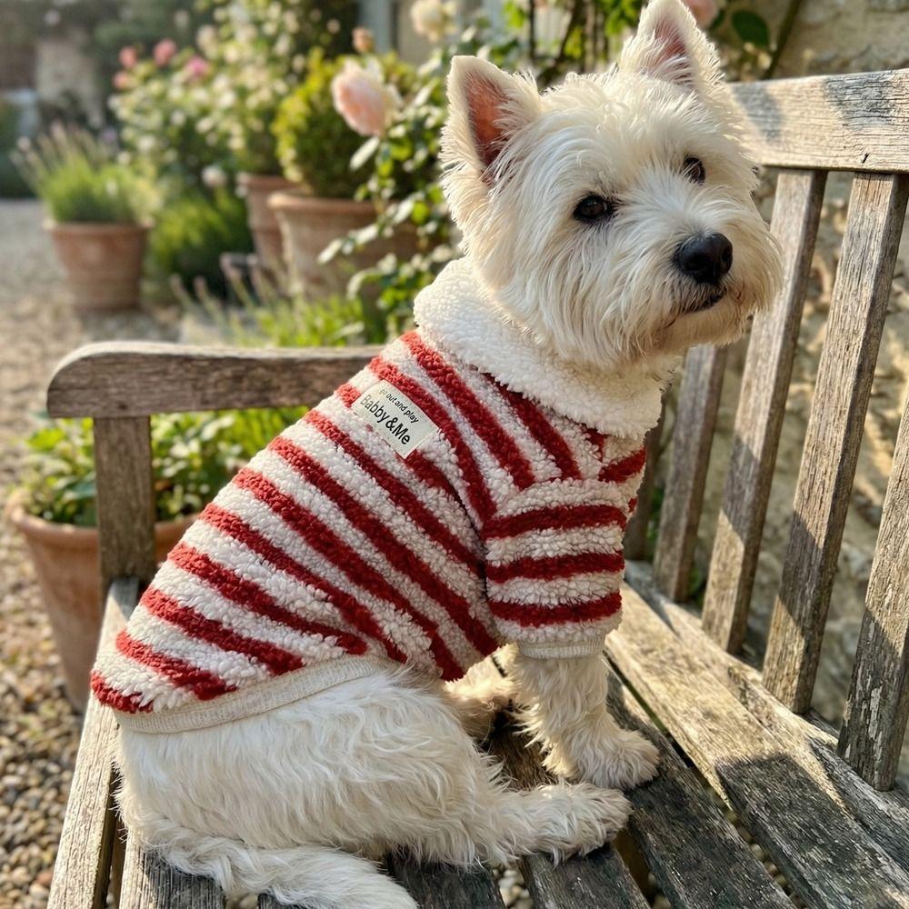 Polar Fleece Two Legs Dog Clothes Thick Warm Puppy Coat Elastic Pet Overalls  Daily Use