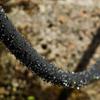 Quick Connect Porous Soak Hose Anti-Aging Permeable Pipe Micro Drip Irrigation Hose  Lawn Watering