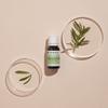 Pranarom Huile Essentielle Bio Tea Tree 10ml
