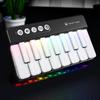 Learning Music Mini Electric Keyboard Multifunctional Electronic Musical Toys  Girls/Boys