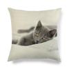 Cartoon Cat Pattern Series Super Soft Cotton and Linen Material Pillow Cover for Home Sofa Decoration Pillow Cover