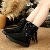 Women Snow Boots Bohemia Embroidery Fringed Decoration Boots Women 2025 Winter Platform Ankle Boots Thick Bottom Shoes Women