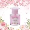 Carmate Car Air Liquid for Drink Holders and Sakura with a Spring Floral Scent Wrapped in the Gentle Spring Breeze and L396 Freshener, Type,