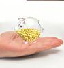 Mini Golden Bean Borosilicate Glass Piggy Bank & Wishing Bottle