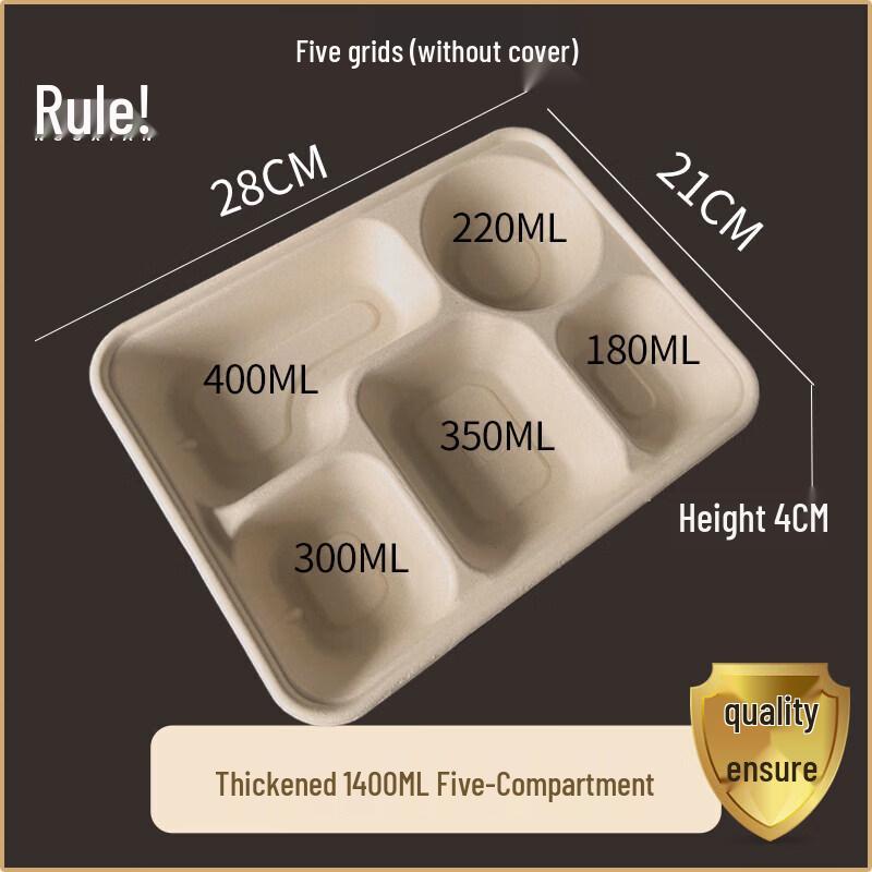 Eco-Friendly 4-Compartment Pulp Disposable Food Container