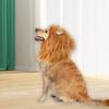 Lion Mane Wig for Cat Dog Costumes Costume Pet Christmas