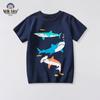 Tops – Camisetas