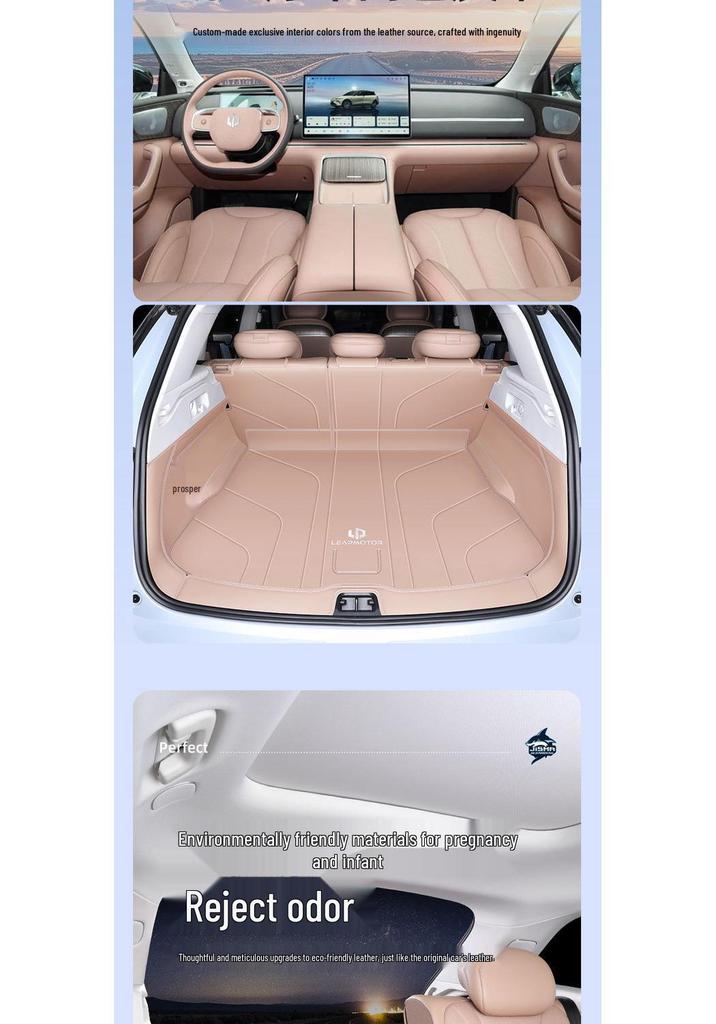 Leapmotor C11 Trunk Mat for Interior Modification