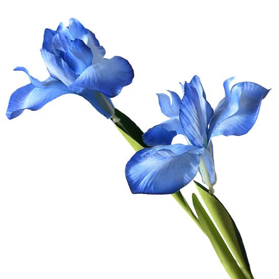 Artificial Iris Flower 2 Heads Faux Silk Flower Bouquet Long Stem Fake Iris Flowers for Floral Arrangements Table Centerpiece Party Wedding Decor