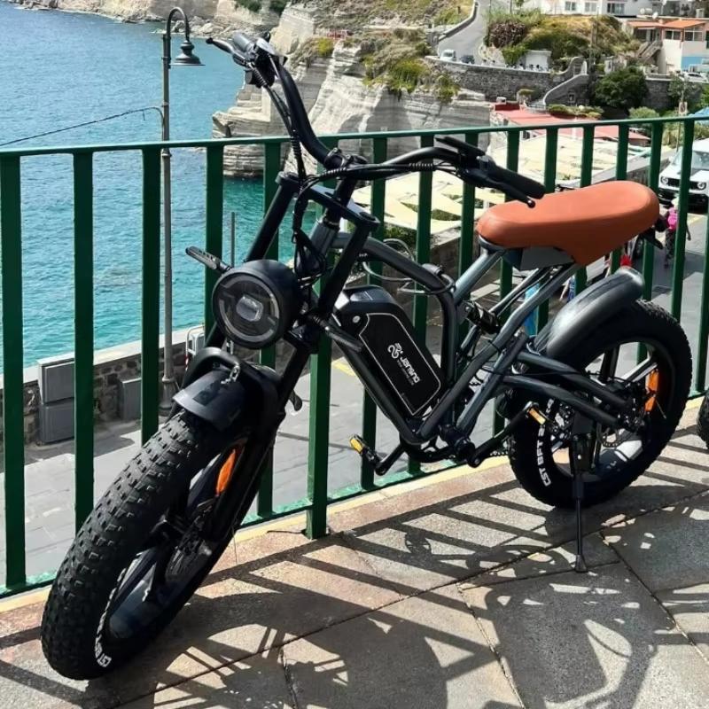 Ebike jansno X50 750W 48V14AH Fat