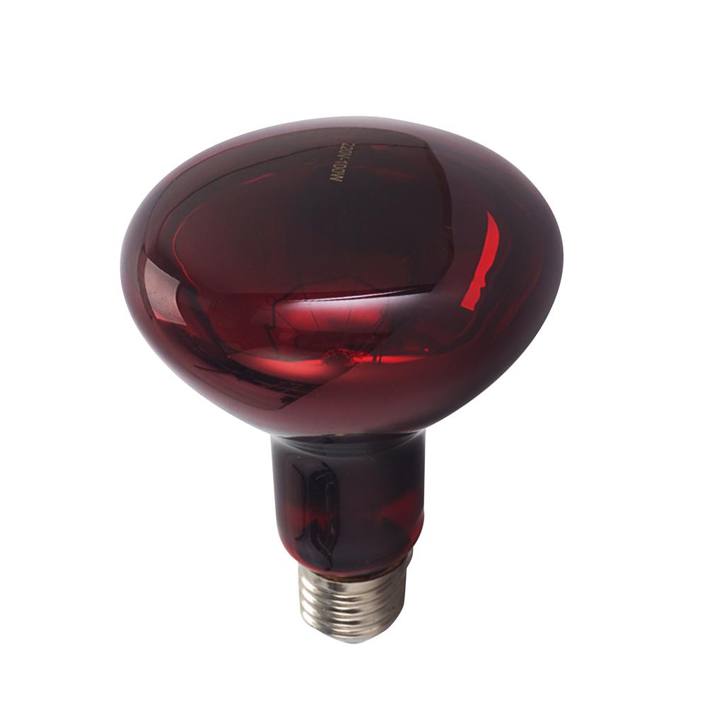 E27 Reptile Heating Bulb Warmer Heat Lamp Daylight 100W Red Infrared for Amphibians Turtle Hedgehogs Home Pet Supplies