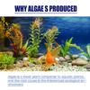 Algae and Moss Remover Aquarium Cleaning and Algae Removal Agent, Fish Tank Moss Remover, Green Water Remover, Algae Remover