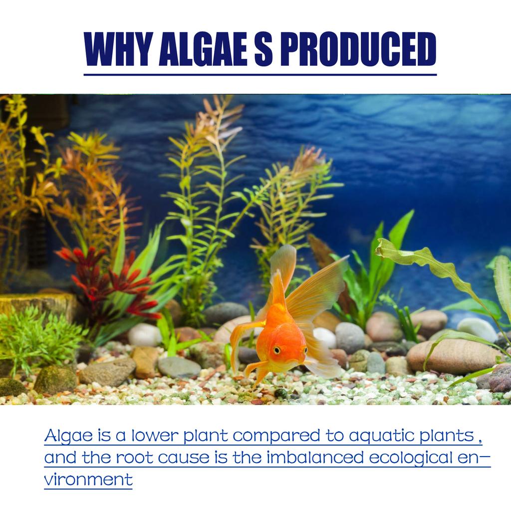 Algae and Moss Remover Aquarium Cleaning and Algae Removal Agent, Fish Tank Moss Remover, Green Water Remover, Algae Remover