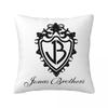 Jonas Brothers Tour Square Pillow Covers Sofa Pop Music Cushion Cover Cool Decorative Pillowcase 45*45