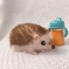 Wiedergeborener Igel Weich Niedlich Mini Realistische Tiere Spielzeug Vollkörper Silikon Igel Tier Spielzeug Niedlich Wiedergeborenes Spielzeug Kreatur