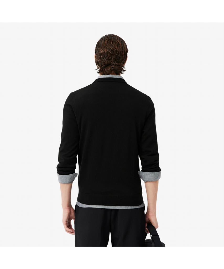 LACOSTE Men'S Merino Wool Crew Neck Sweater Ah1969-55N 031