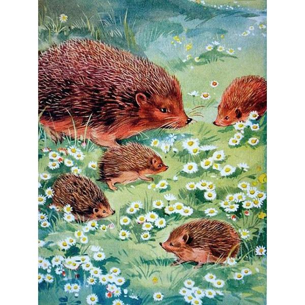 5D Diy Hedgehog Diamond Painting Full Drill Diamond Embroidery Animal Cross Stitch Kit Rhinestone Mosaic Home Decoration Gift