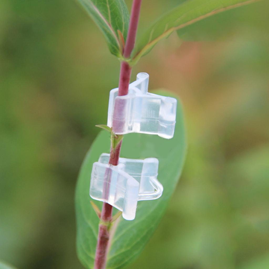 20Pcs Special Grafting Clip Tomato Seedling Grafting Clip Eggplant Grafting Clamp Clamp For Seedling Grafting Eggplant