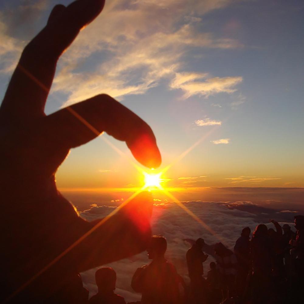 

5D DIY алмазная живопись маленькие животные пейзаж полный алмаз квадратный/круглый Алмазная вышивка набор крестиков домашняя стена декоративное искусство Square Drill 30x30cm