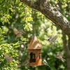 Oiseaux – Abreuvoirs et mangeoirs à oiseaux