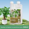Universal Plant Nutrient Solution for Potted Money Trees, Happiness Trees, Succulents, Flowers, and Green Plants.