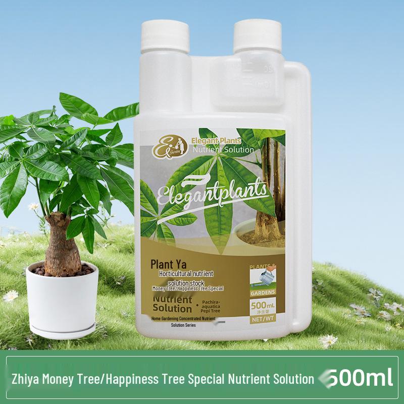 Universal Plant Nutrient Solution for Potted Money Trees, Happiness Trees, Succulents, Flowers, and Green Plants.