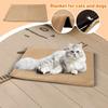 Puppy Dog Bed Mat Self Heating Winter Soft Warm Pet Rug Thermal Pad