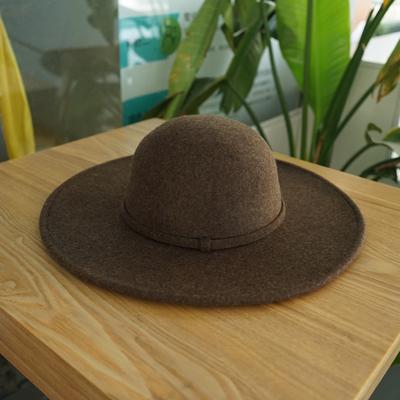Black Brown Coffee Japanese European And American Simple Wool Dome Big Brim Top Hat Women'S French Retro Felt Hat