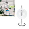 15cm Large Glass Hanging Fish Bowl, Transparent Hanging Fish Bowl with Stand for Decoration, Miniature Waterscape