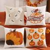 Halloween Fall Embroidered Throw Cover, Velvet Pumpkin Sunflower Design for Couch Sofa Decorative Cushion Case