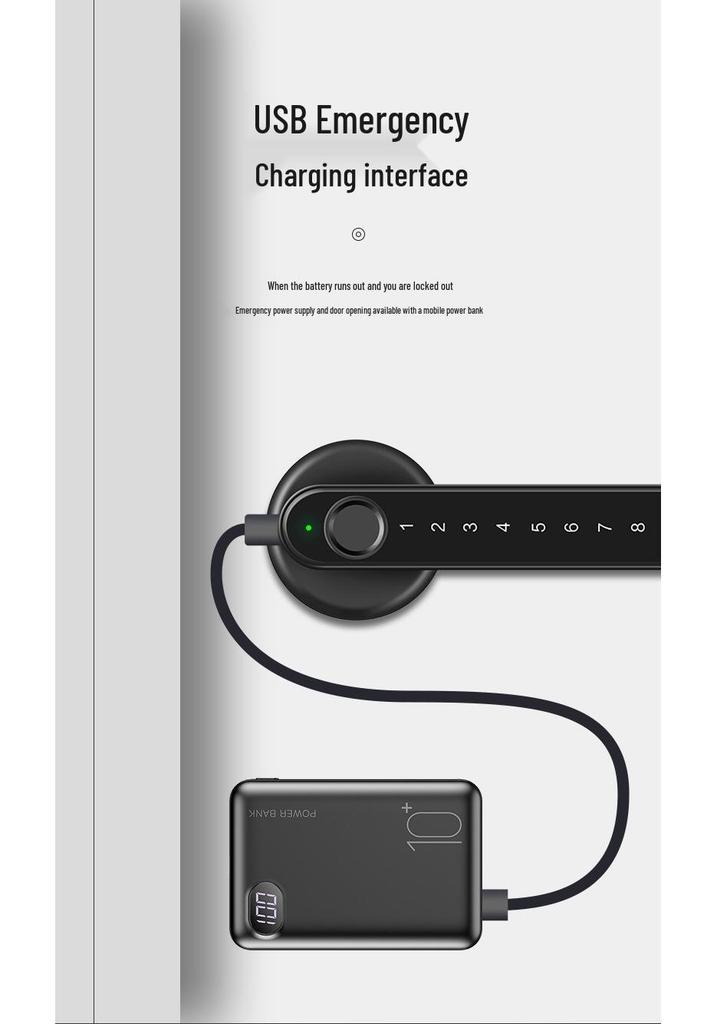 Fingerprint Lock for Indoor Bedroom/Office: Wooden Door Password & Smart Electronic Alloy Lock