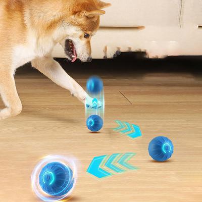 Köpek – Köpek oyuncakları