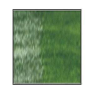 Crayons Derwent Inktense - Spring Green 155