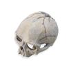 Snake Hideouts Reptiles Aquarium Skull Decors Resin Skull Head Terrariums Accessories for Bearded Dragon and Snake