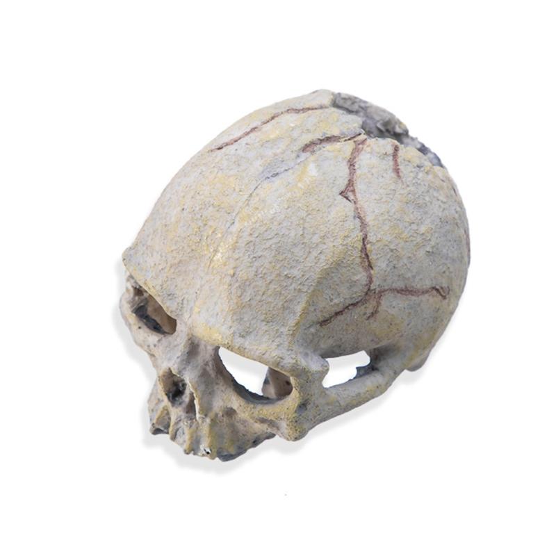 Snake Hideouts Reptiles Aquarium Skull Decors Resin Skull Head Terrariums Accessories for Bearded Dragon and Snake 1
