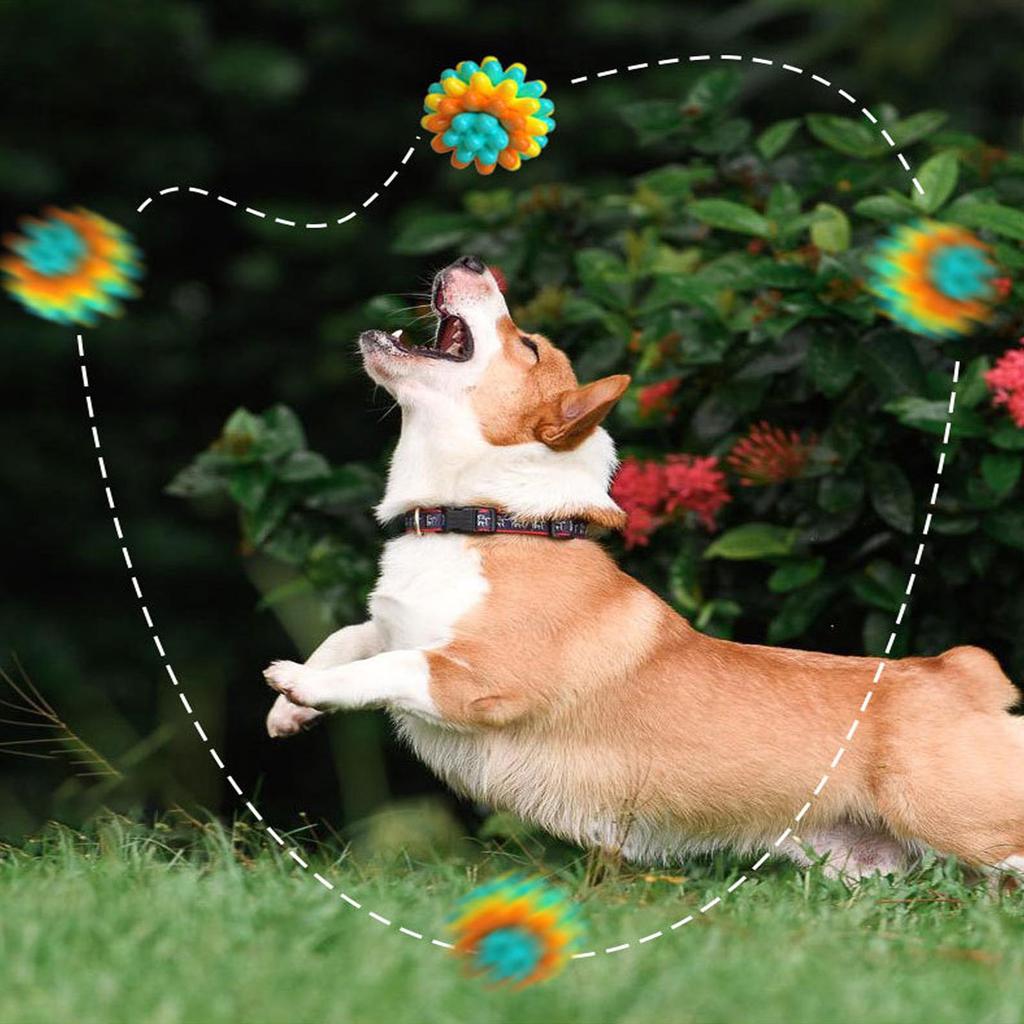 Pet Ball Dog Teething Toys Balls For Aggressive Chewers Fetch Games Puppy Accessories For Pet Moving Exercise Play Boredom