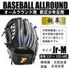 Sakurai Boeki FALCON Baseball Glove Gloves Softball Boys Size Black Left Height For Lower Elementary and Middle School Grades (SAKURAI) All-Round Jr-M