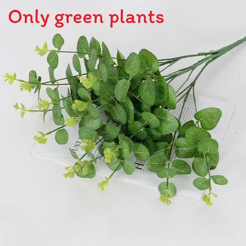 Liebm Deliciosa Monstera And Eucalyptus Citriodora Hook Green Decor Plants