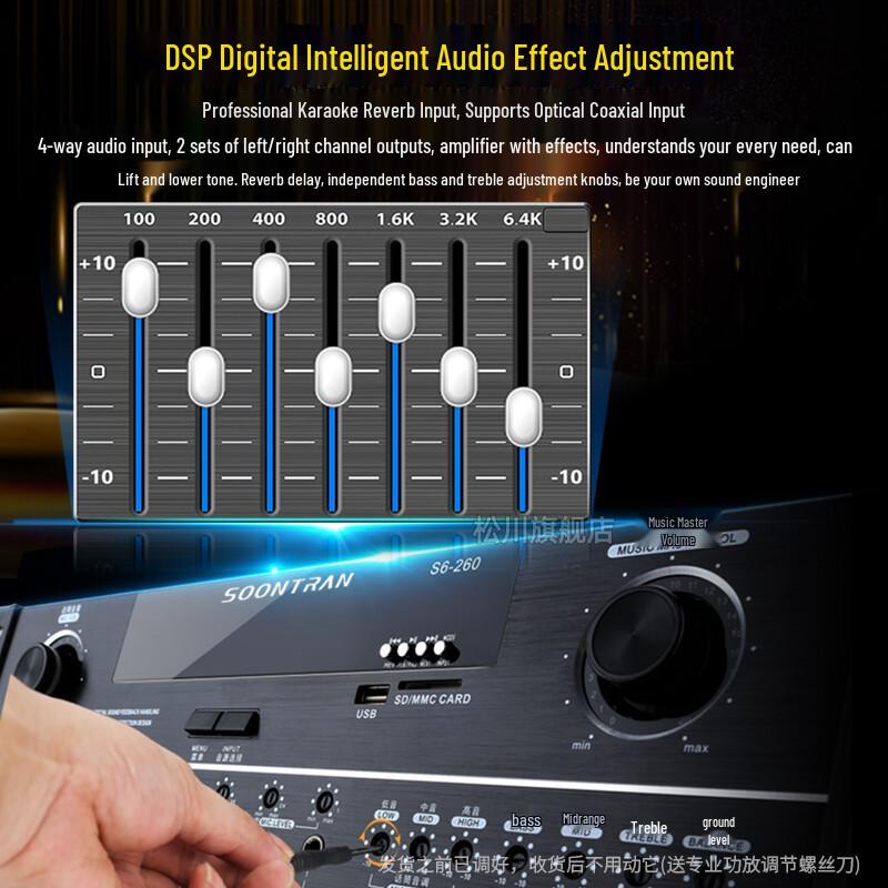 Songchuan SP2-11 10-inch Home KTV Audio System CN plug (adapter included) (CN version)