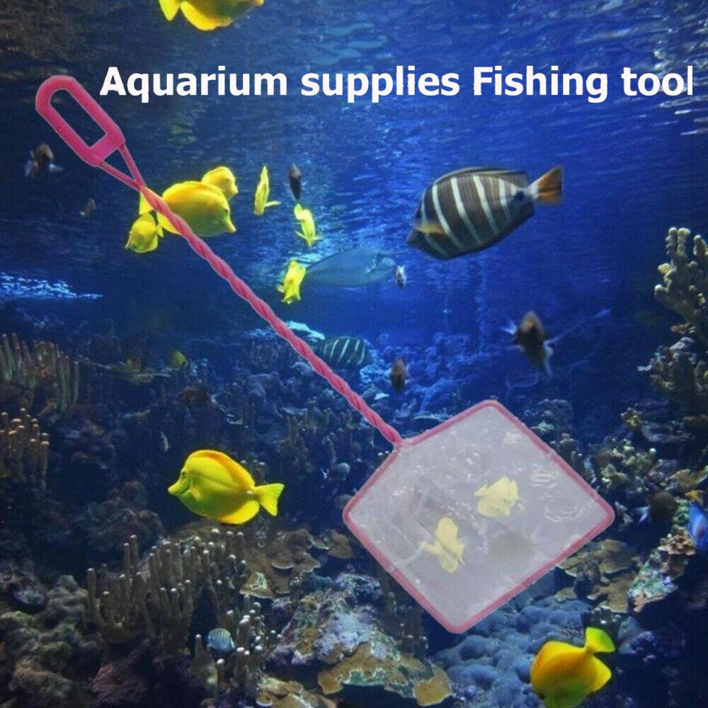 small fish tank net