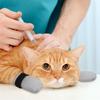 Waterproof, Wear-Resistant Paw and Shoe Covers for Bathing, Medicating, and Protecting Small Cats and Dogs from Scratches.