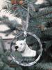 Dogo Argentino - Crystal Bauble with a Photo, Dog Photo In Crystal, Personalized Christmas Tree Ornament by Art-Dog Brand