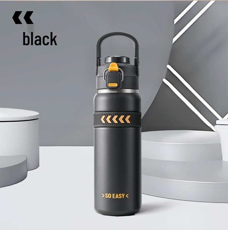 

316 Stainless Steel Insulated Sports Water Bottle with Dual Spout and Straw 750ml чорний