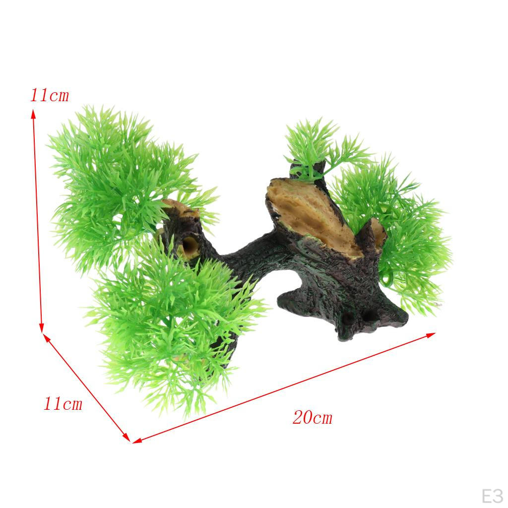 on Driftwood Freshwater Live Aquarium Plant Decorations Tank
