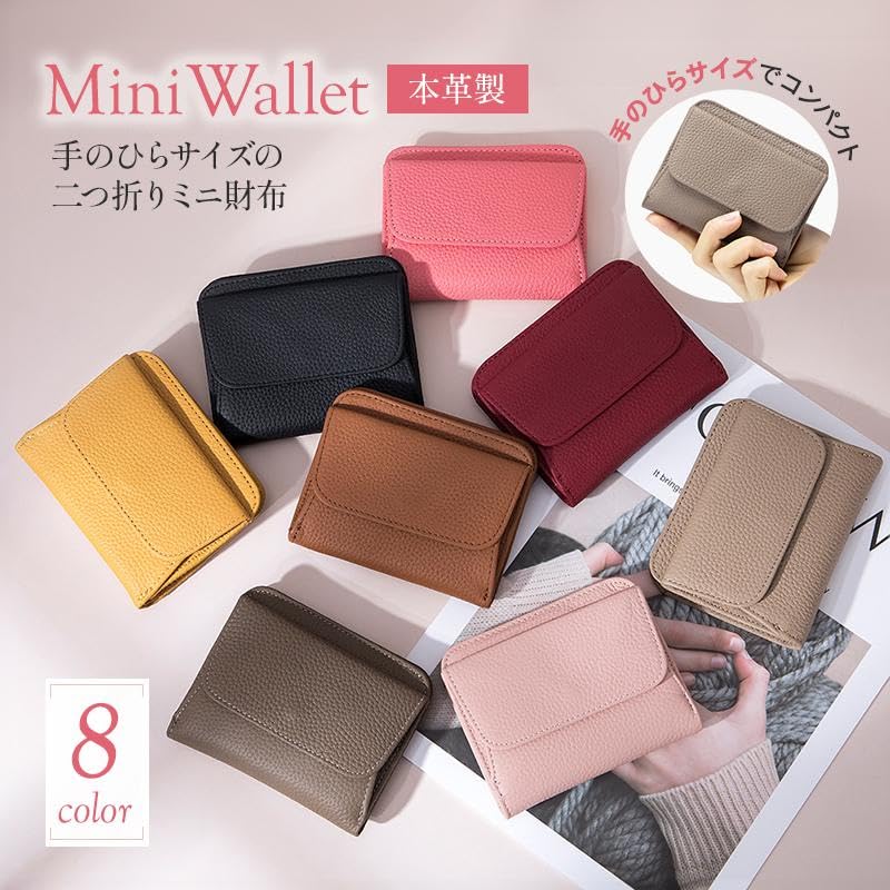 Women's Bifold Wallet, Stylish, Cute, Simple, Card Case, Coin Purse, Bill Pocket, Mini Wallet, Compact, Black, Gift (Salmon Pink)