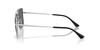 Ray-Ban ARI Sunglasses 0RB3758 SILVER / DARK GREY POLAR (Polarized, Square)