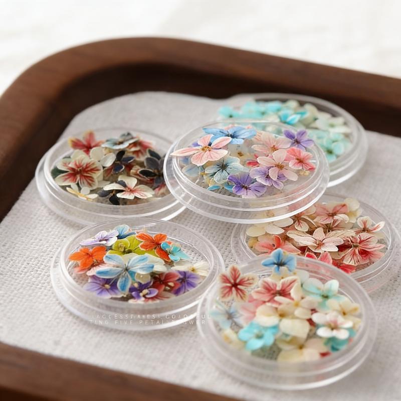BEPAN 1PCS Summer Gradient Floral Nail Art Dried Flower Mixed Colors Natural Pressed Flowers Handmade DIY Boxed Wearable Nail Material