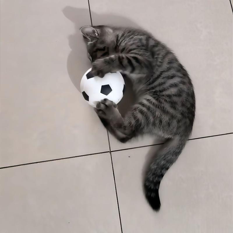 4Pcs Cat Soccer Toy Interactive Bouncy Ball For Kittens And Adult Cats The Perfect Indoor Entertainment Toy